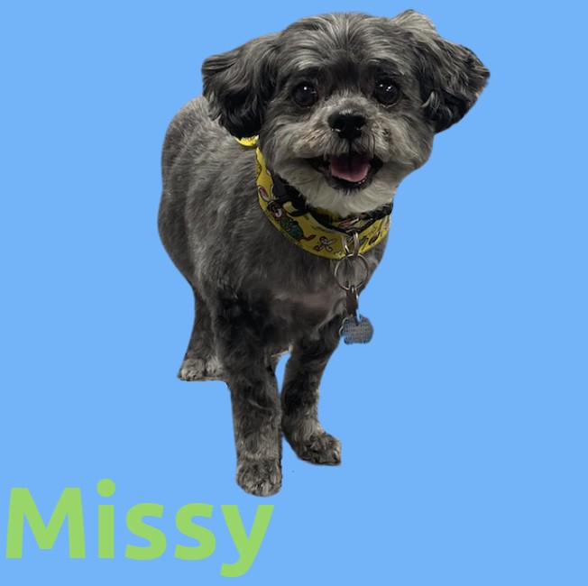 Missy